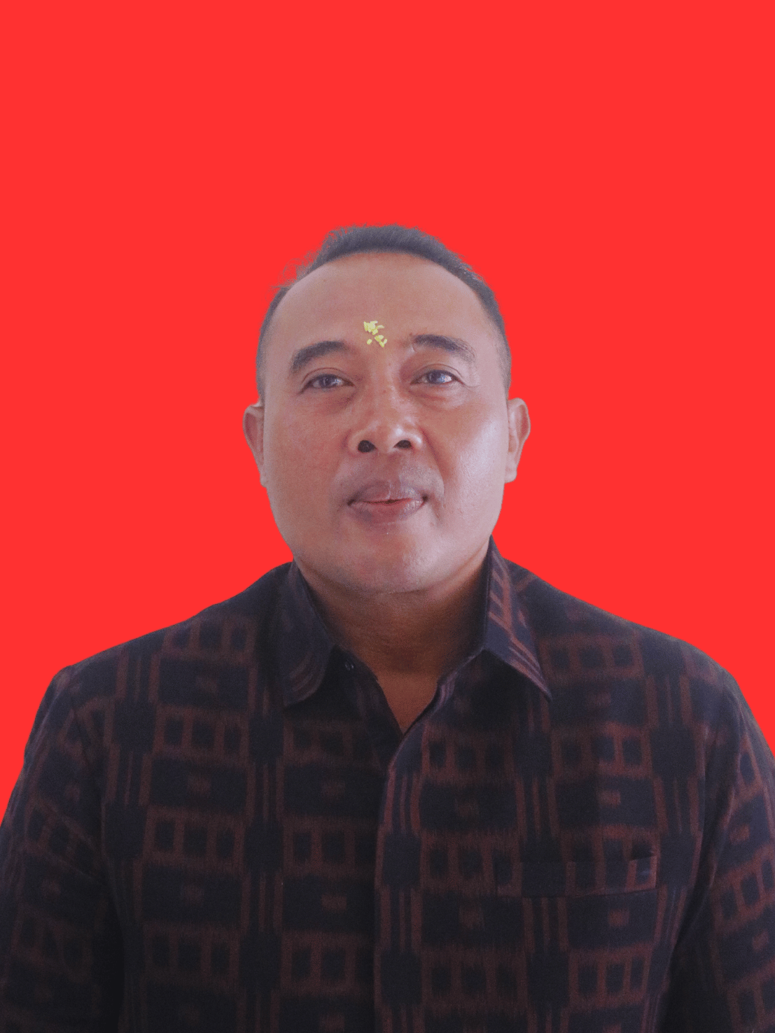 I Wayan Purnawan